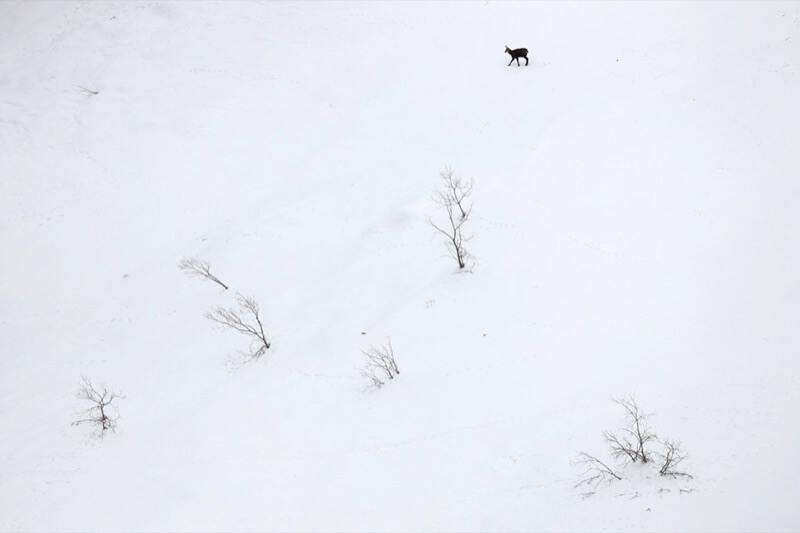 alta montagna - Davide Casazza