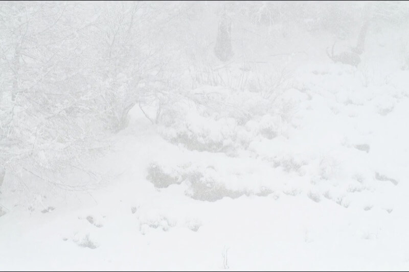 Fantasma d'inverno - Federico Crovetto