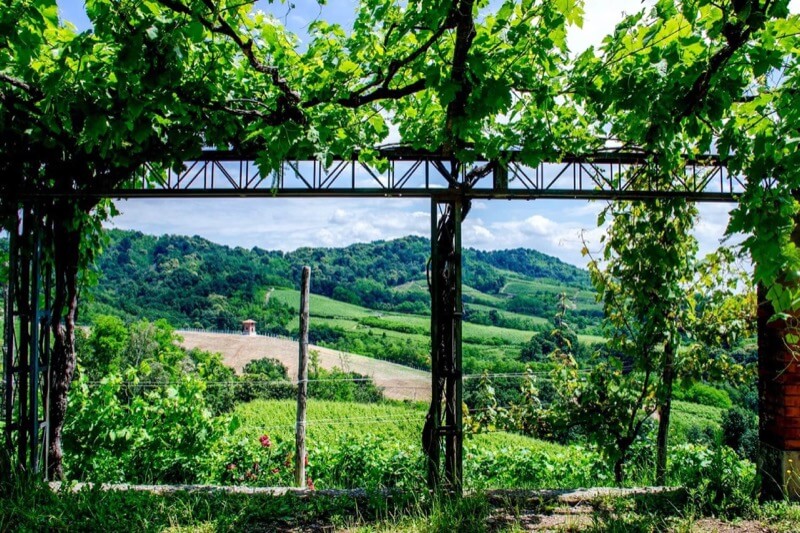 Colline in cornice - Maddalena Ferro