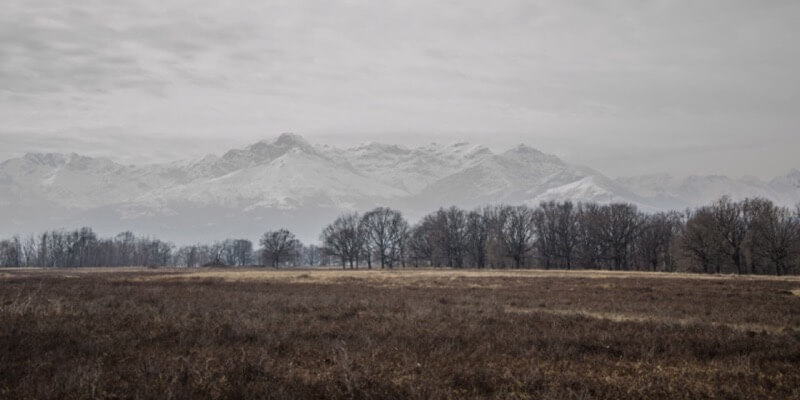 La savana biellese - Silvano Beduglio