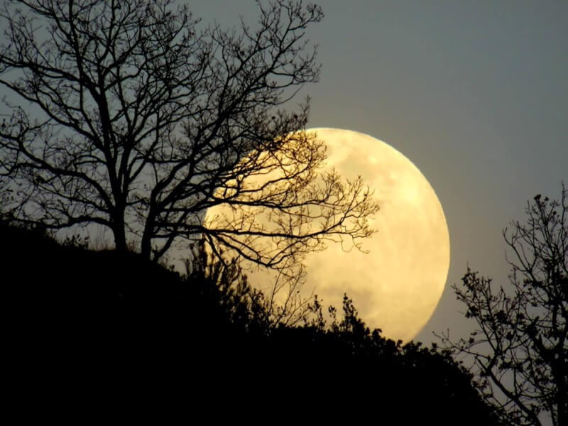 Il sorgere della Luna dalle colline  - Tiziana Girante