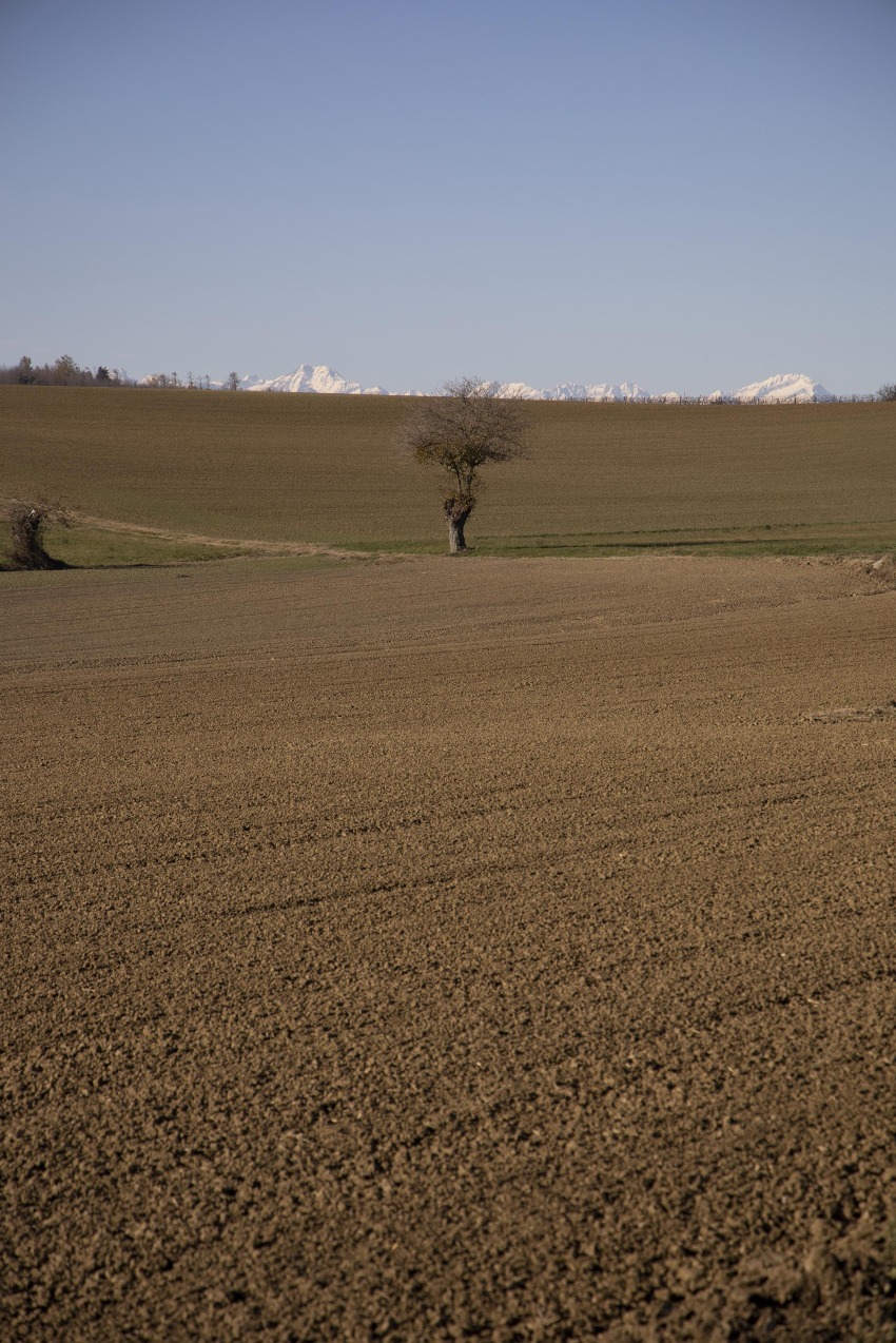 Le montagne sono vicine - Ada Brunazzi